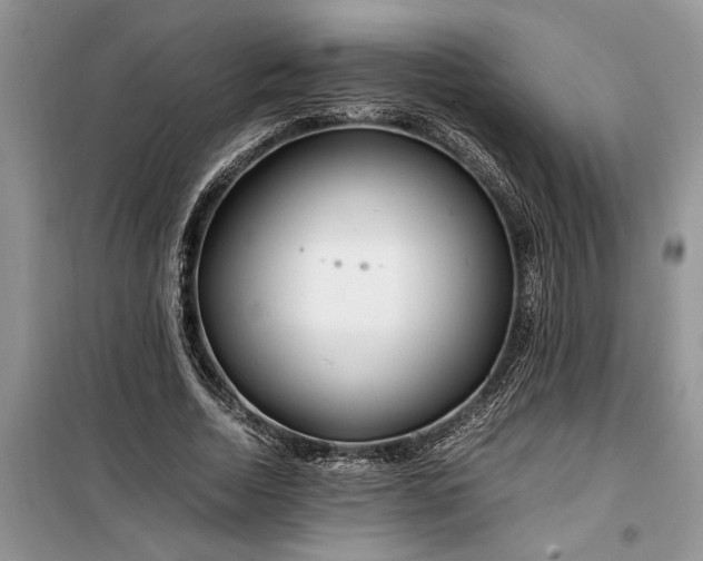 X0000099510730200805291149