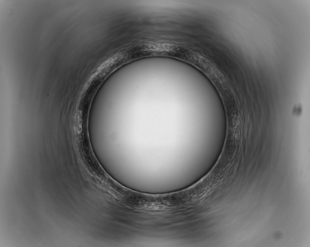 X0000099510731200805291149