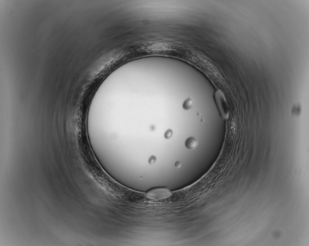 X0000099510732200805291149