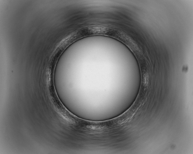 X0000099510733200805291149