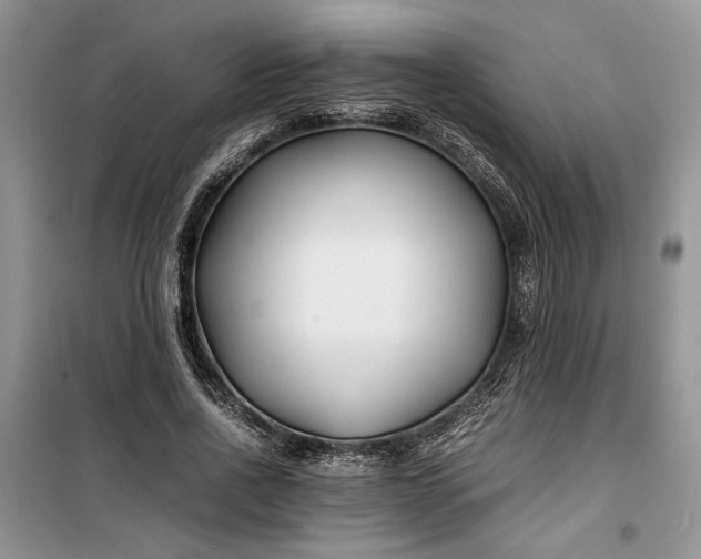 X0000099510734200805291149