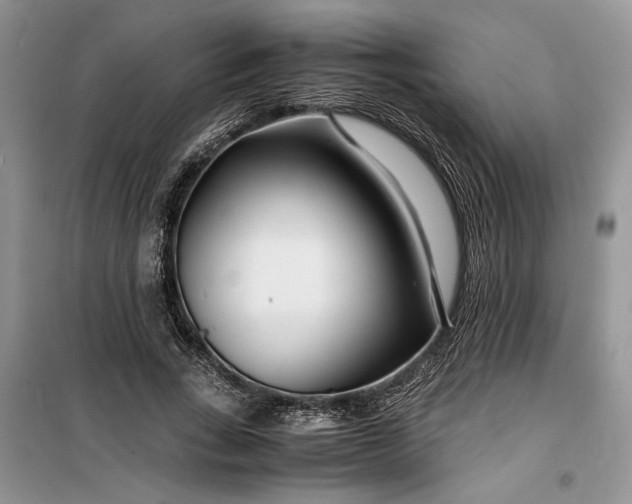 X0000099510735200805291149