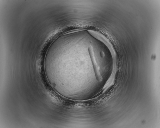 X0000099510736200805291149