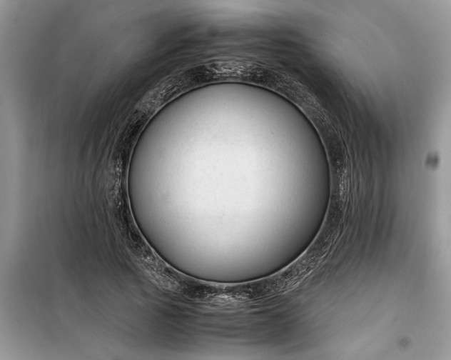 X0000099510737200805291149