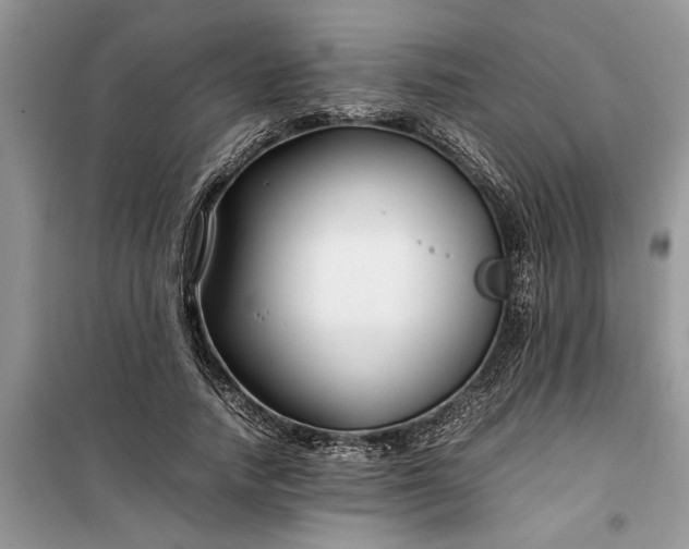 X0000099510738200805291149