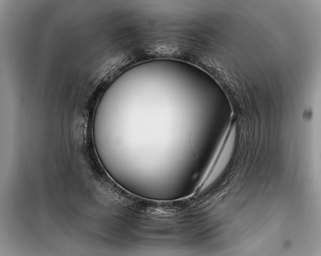 X0000099510739200805291149