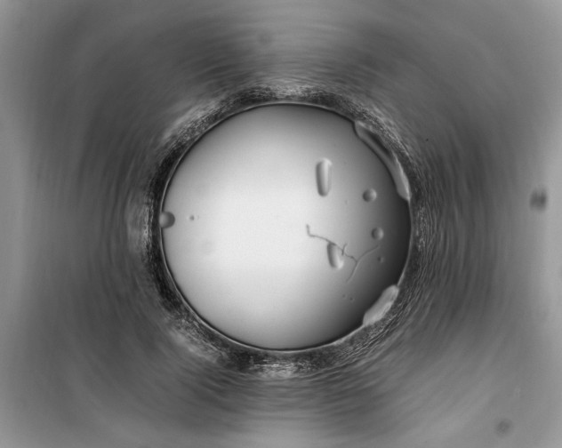 X0000099510740200805291149