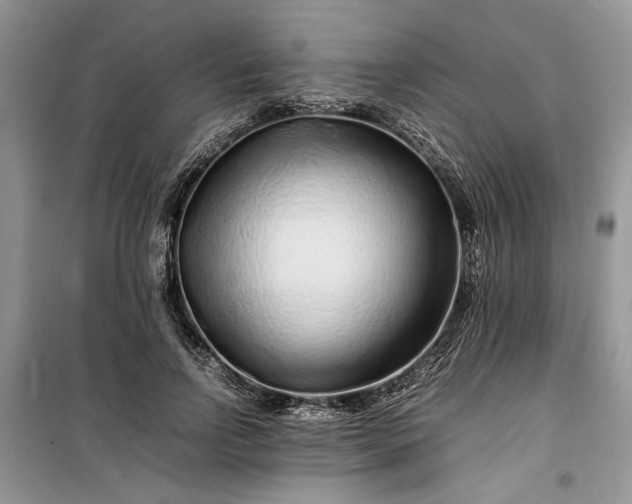 X0000099510742200805291149