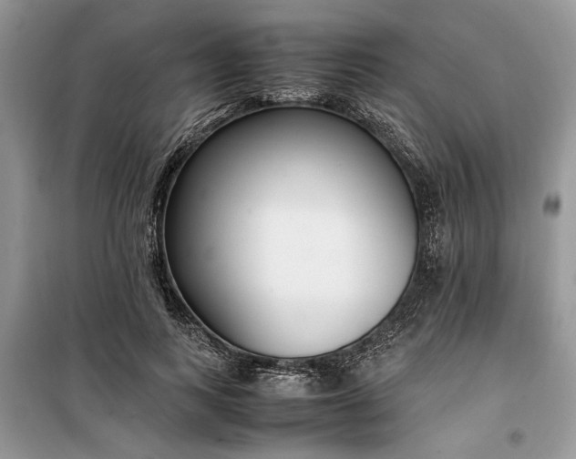 X0000099510743200805291149