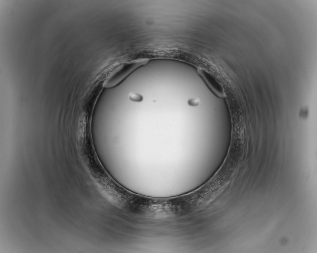 X0000099510744200805291149