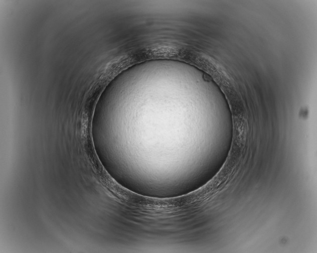 X0000099510745200805291149