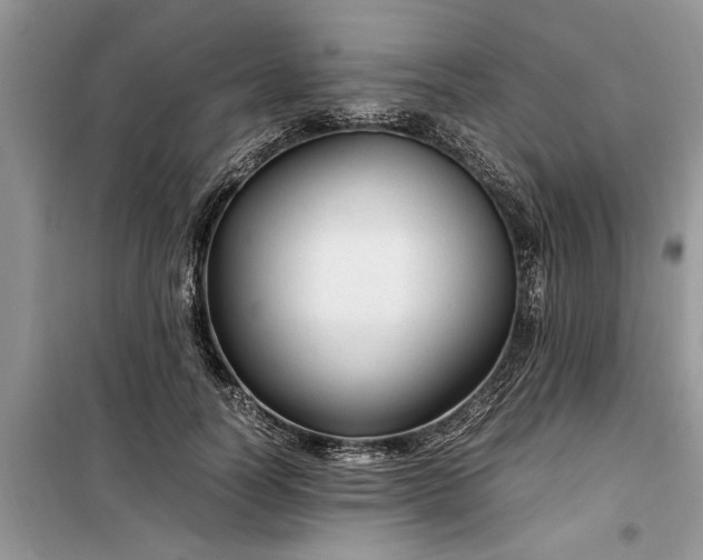 X0000099510746200805291149