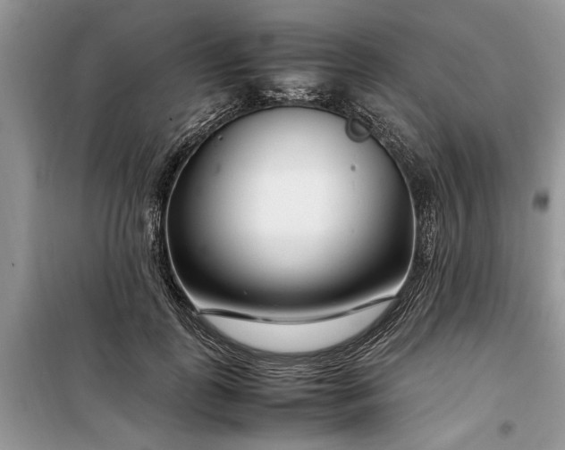 X0000099510747200805291149