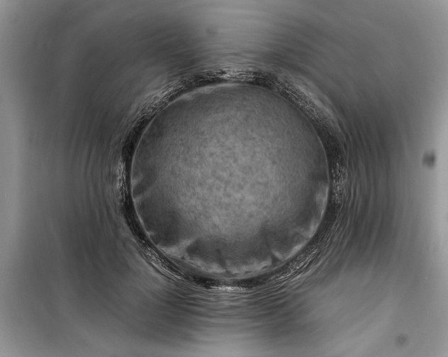 X0000099510748200805291149