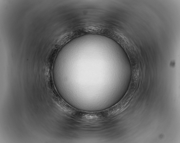 X0000099510749200805291149