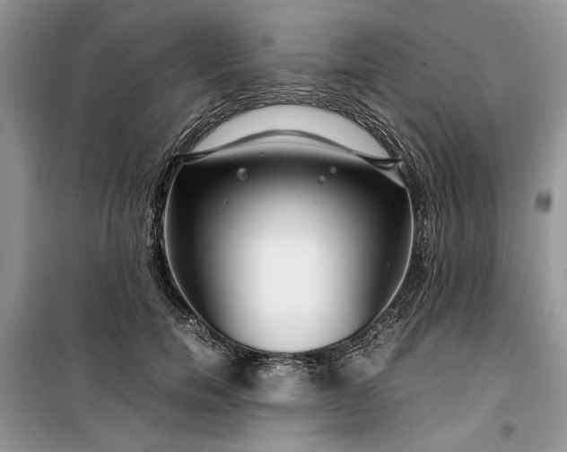 X0000099510750200805291149