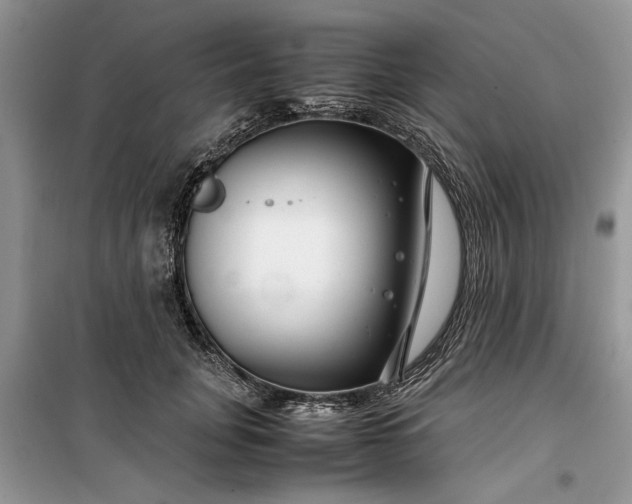 X0000099510751200805291149