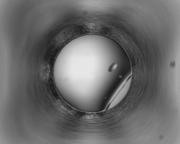 X0000099510752200805291149