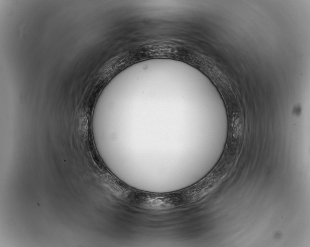 X0000099510753200805291149