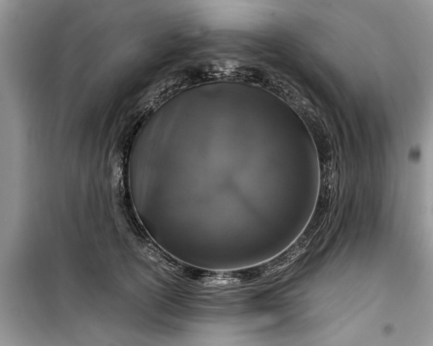 X0000099510754200805291149