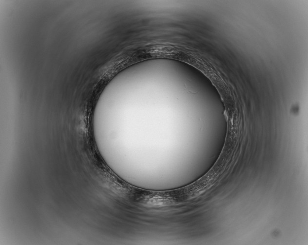 X0000099510755200805291149