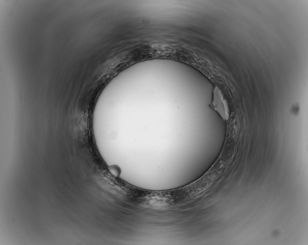 X0000099510756200805291149