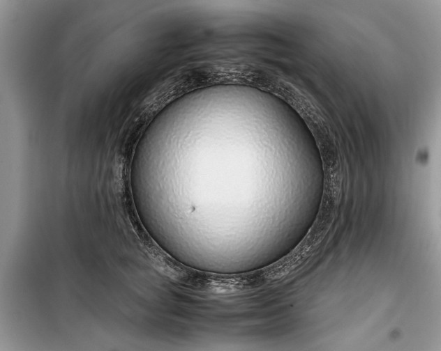 X0000099510757200805291149