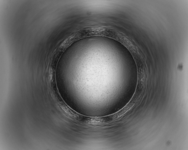 X0000099510758200805291149