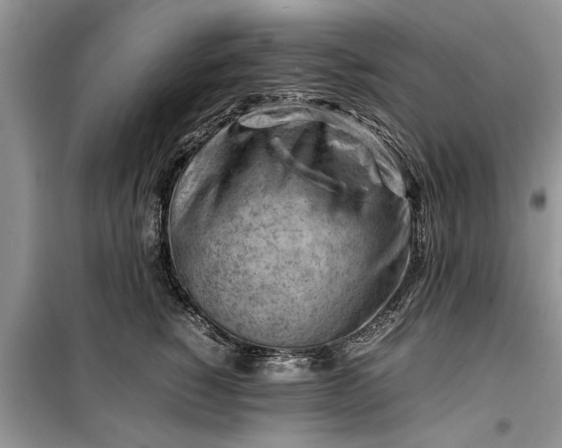 X0000099510760200805291149