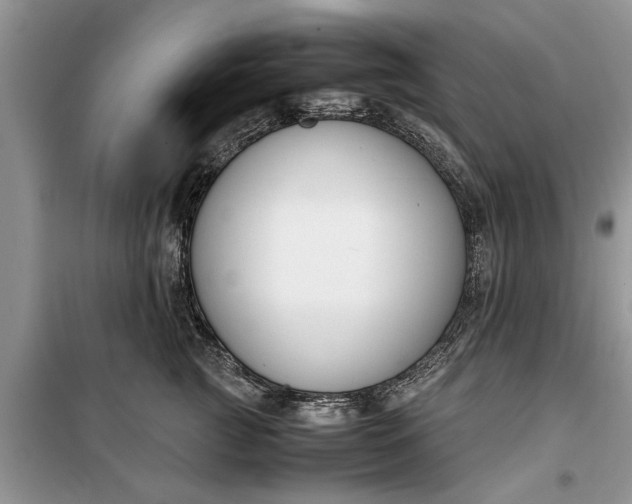 X0000099510761200805291149