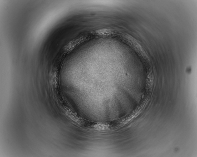 X0000099510762200805291149