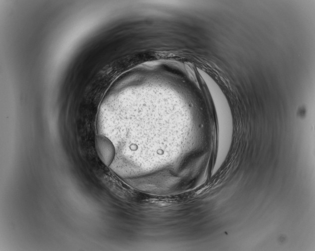 X0000099510763200805291149