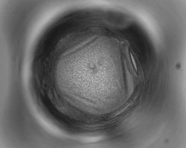 X0000099510765200805291149