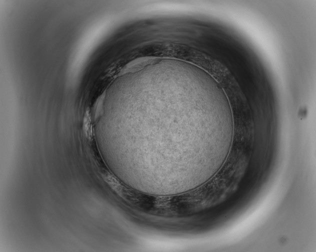 X0000099510766200805291149