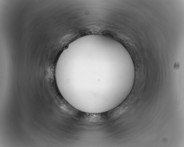 X0000099510768200805291149