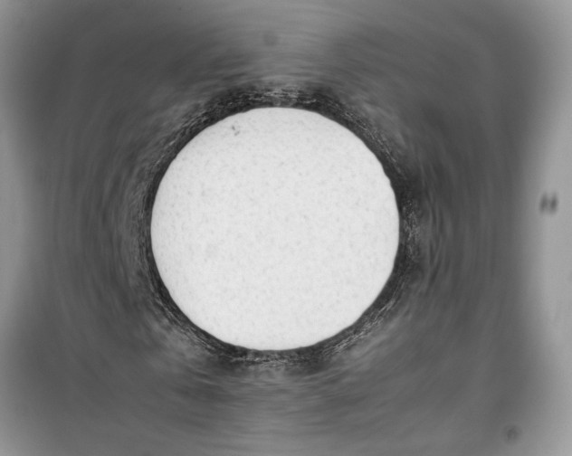 X0000099510769200805291148