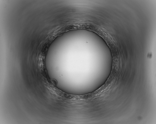 X0000099510770200805291148