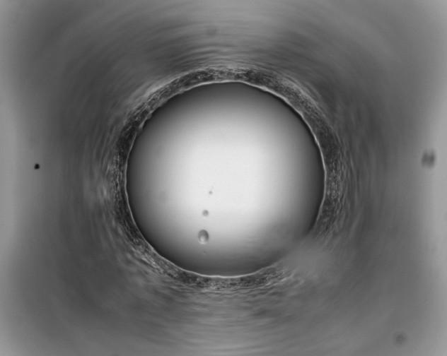 X0000099510773200805291148