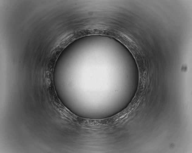 X0000099510774200805291148