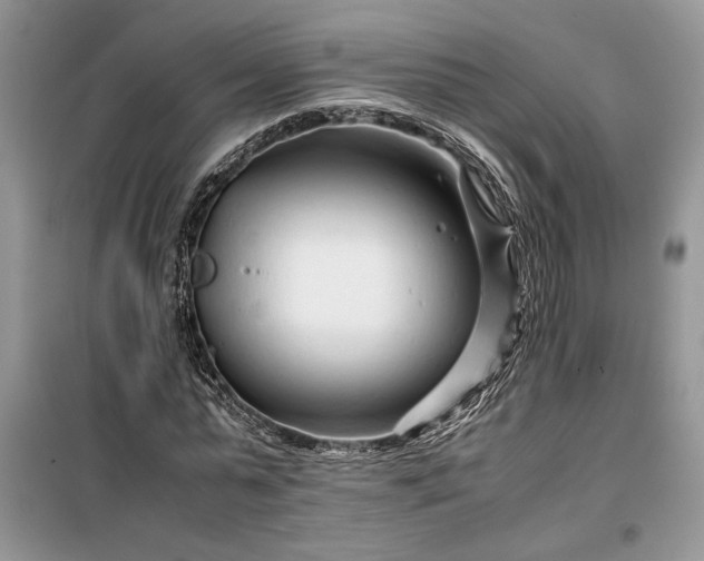 X0000099510775200805291148