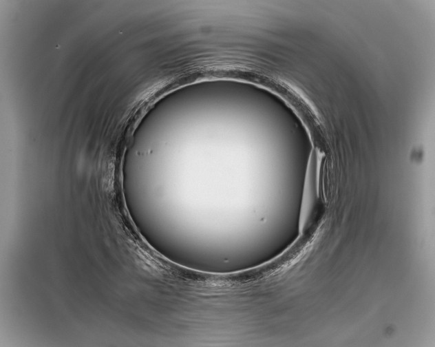 X0000099510777200805291148