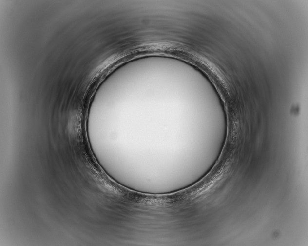 X0000099510778200805291148