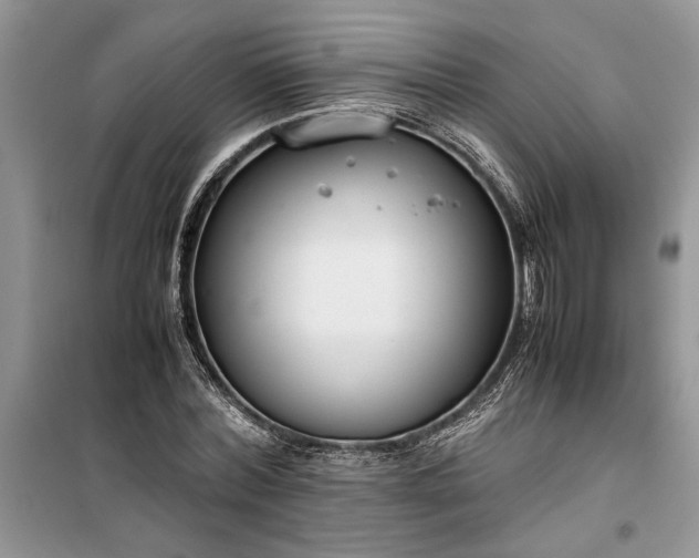 X0000099510780200805291148