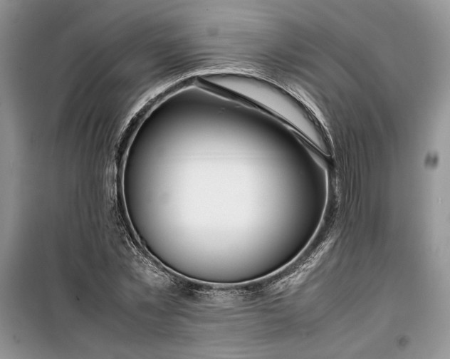 X0000099510781200805291148