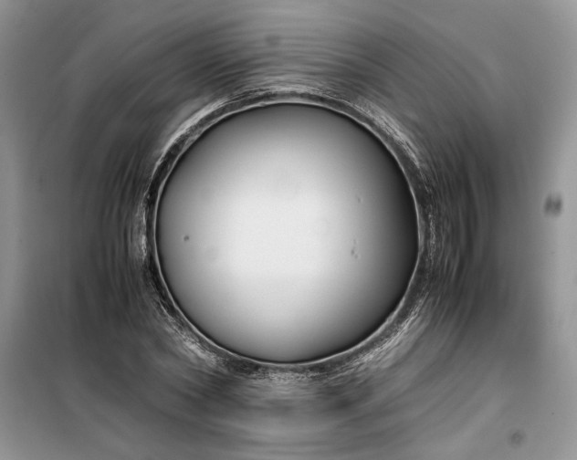 X0000099510782200805291148