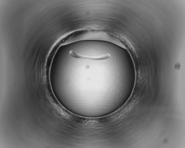 X0000099510784200805291148