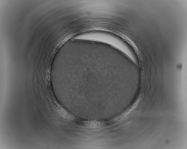 X0000099510785200805291148