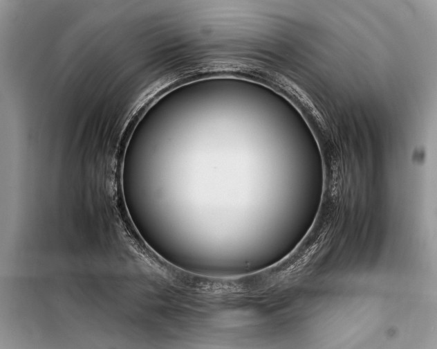 X0000099510786200805291148