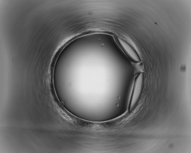 X0000099510787200805291148