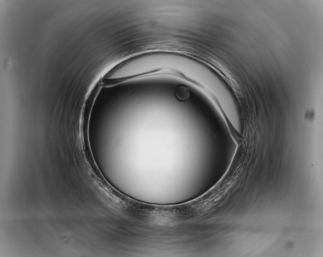 X0000099510788200805291148